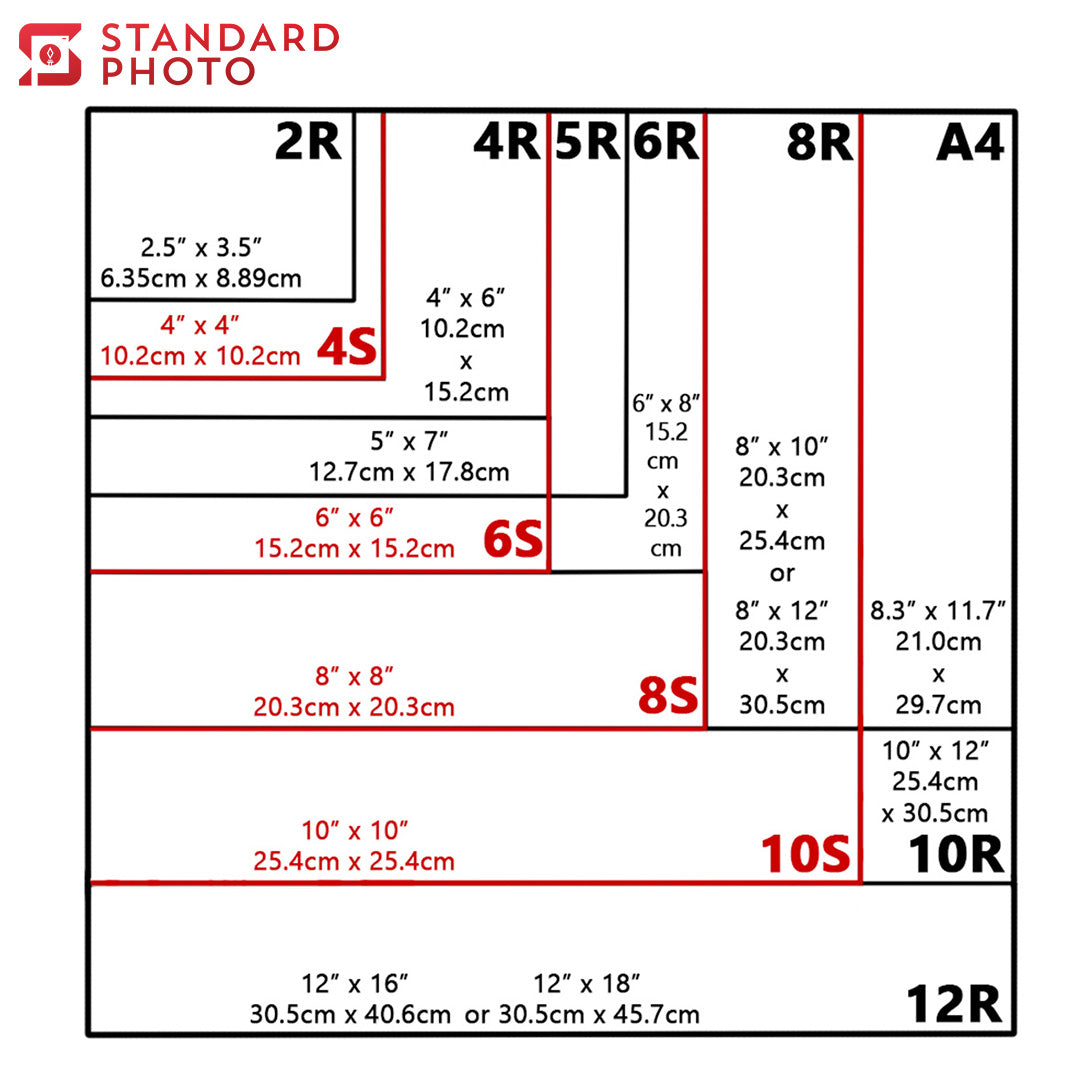 StandardPhoto Online Photo Print Measurements 2R 4R 5R 6R 8R 10R 12R 4S 6S 8S 10S A4