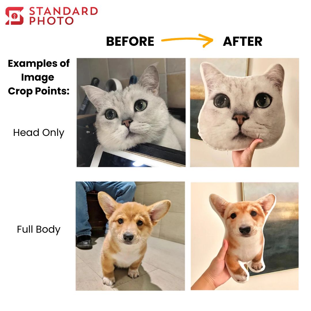StandardPhoto Customisable Pillow Prints Before and After Comparison Results Custom Pillow 