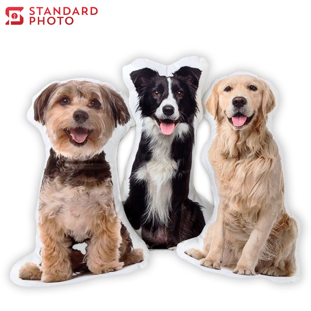 StandardPhoto Customisable Pillow Prints Cover Image Custom Pillow 