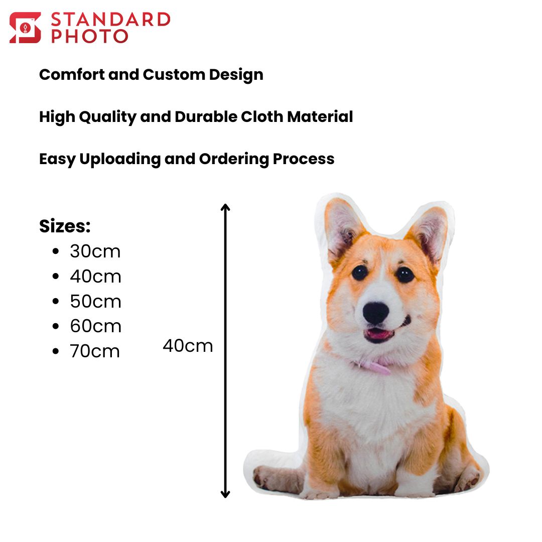 StandardPhoto Customisable Pillow Prints Dimensions and Specifications Custom Pillow Sizes Quality Easy Process