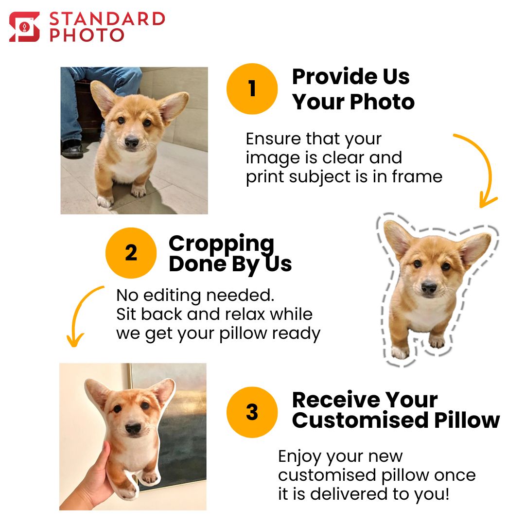 StandardPhoto Customisable Pillow Prints Ordering Process How it Works Easy Steps 