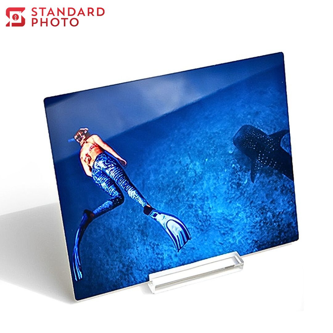 StandardPhoto Premium Metal Prints Cover Image