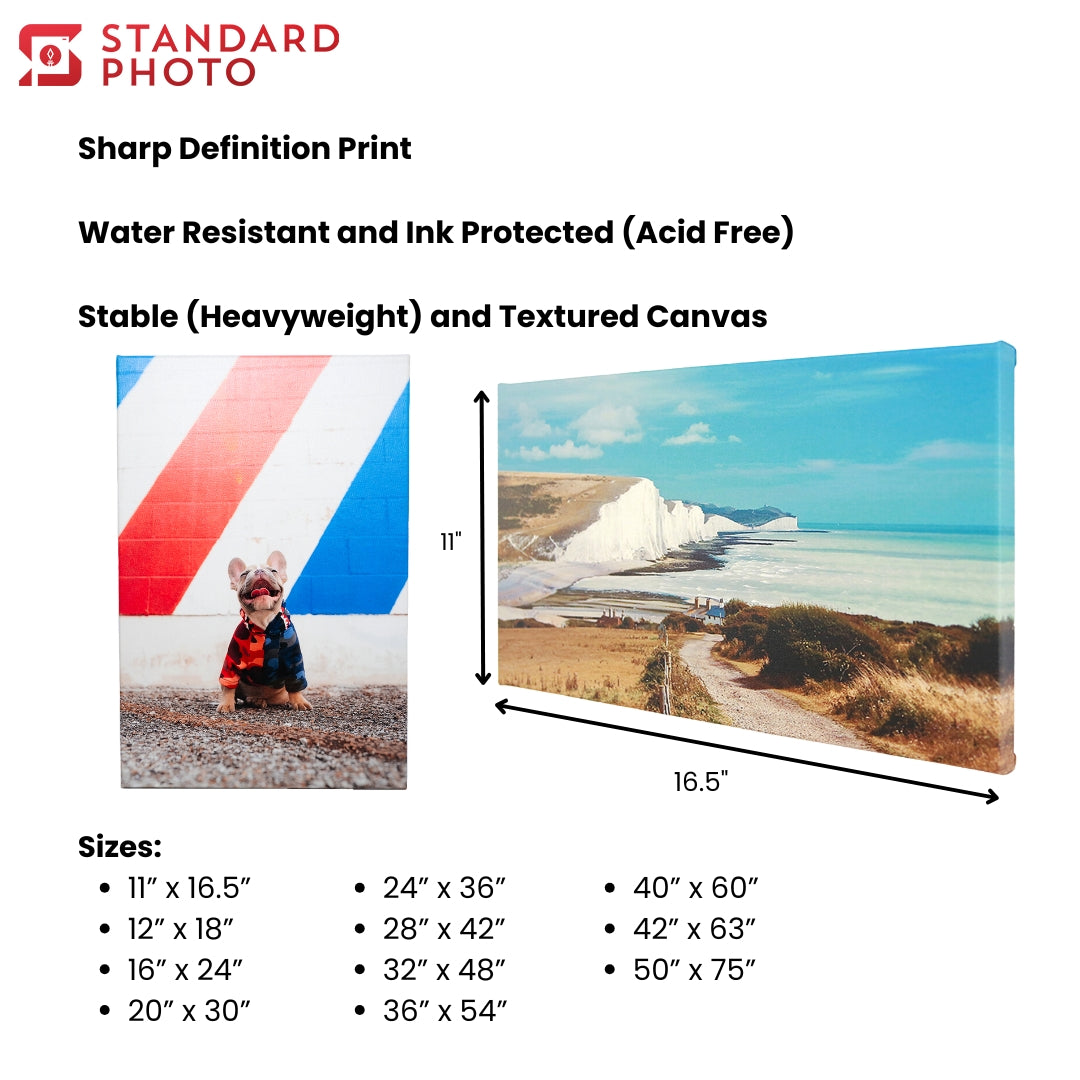 StandardPhoto Premium Rectangle Canvas Prints Dimensions and Specifications and Available Sizes for Customization