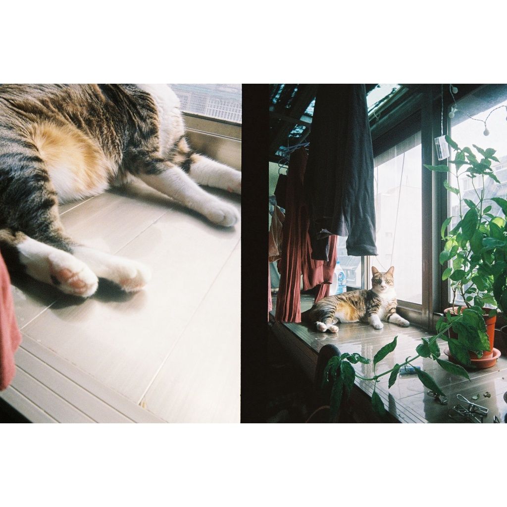KODAK EKTAR H35 Half Frame 35mm Film Camera