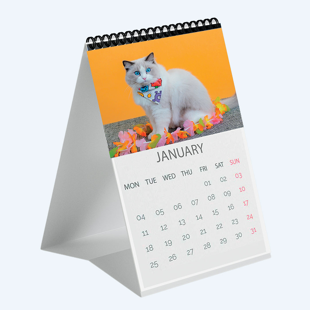 Customisable Photo Calendar