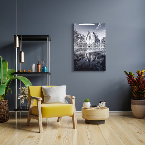 Premium Metal Prints