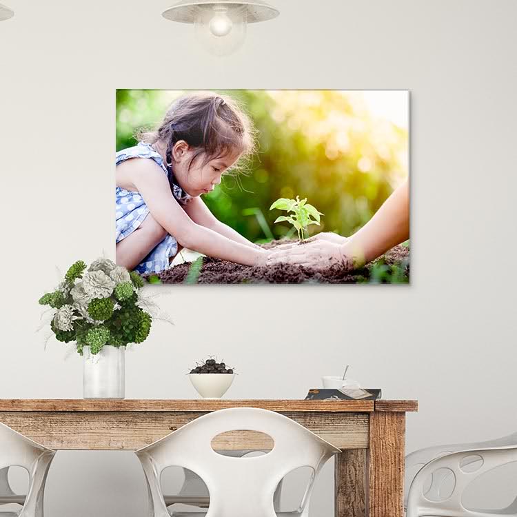 Acrylic Panel