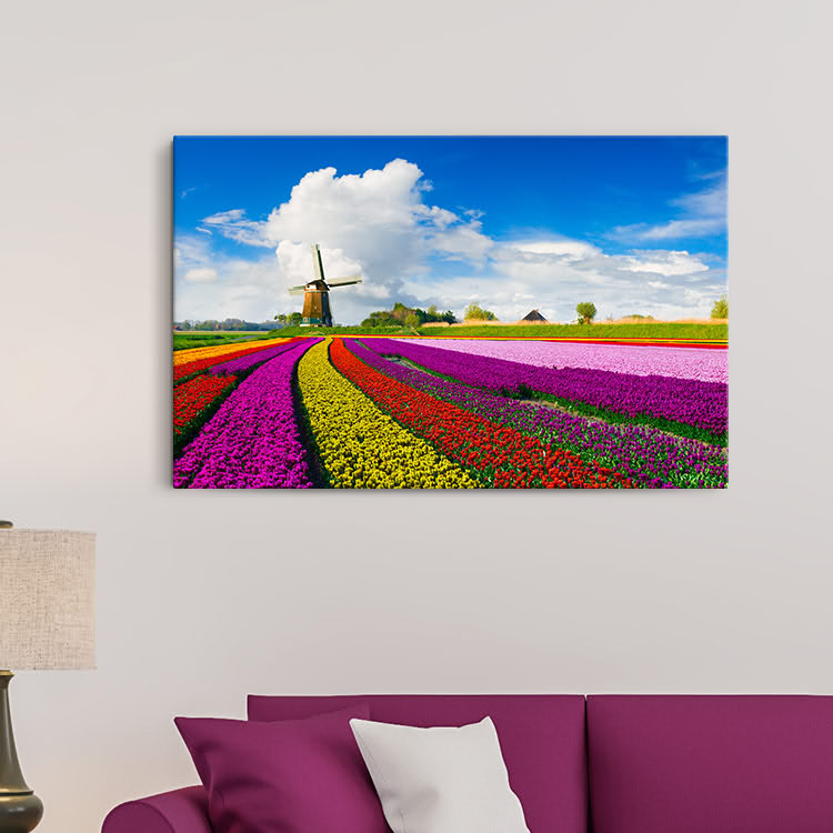 Canvas Panel