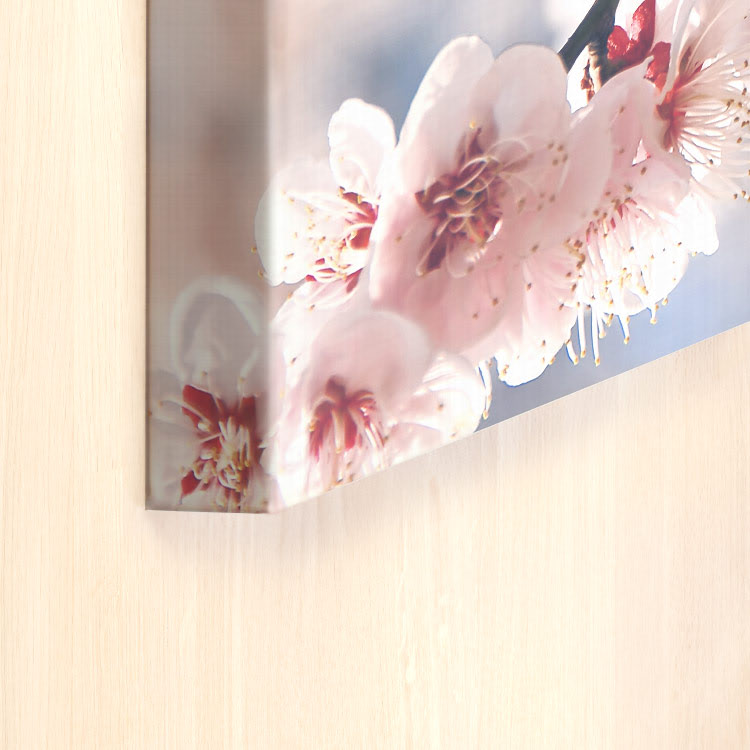 Canvas Panel