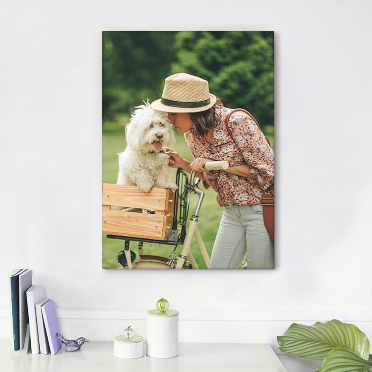 Canvas Panel
